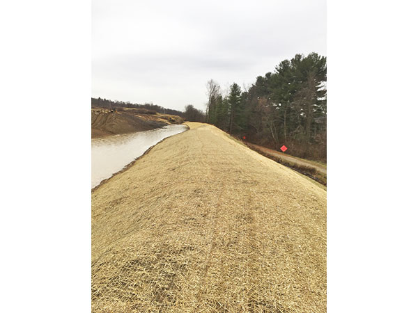 McConnell Trails Pond Matting